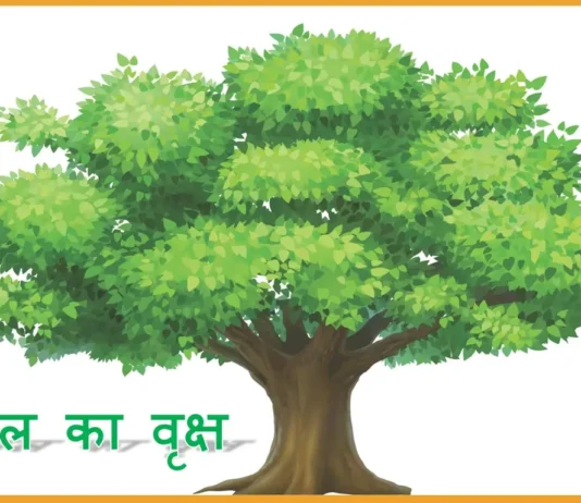 पीपल के पेड़