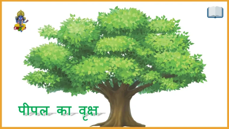 हिंदू धर्म मे पीपल के पेड़ का धार्मिक महत्व क्या है?