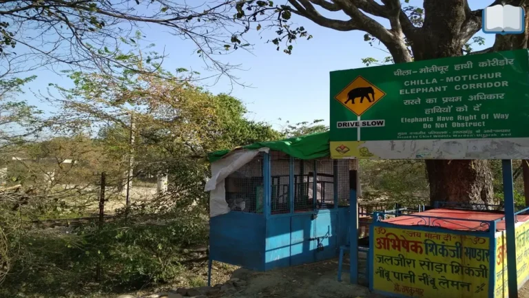 चीला रेंज नेशनल पार्क हरिद्वार: A Destination for Wildlife Safari