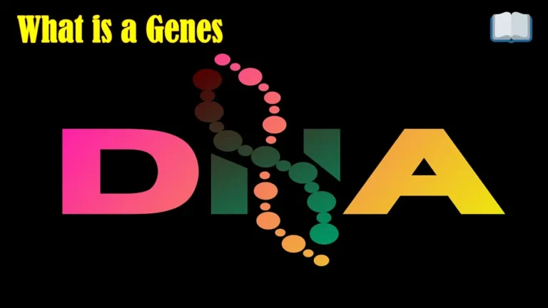 Genes क्या होते है ये हमारे Body Structure को कैसे Design करते है?