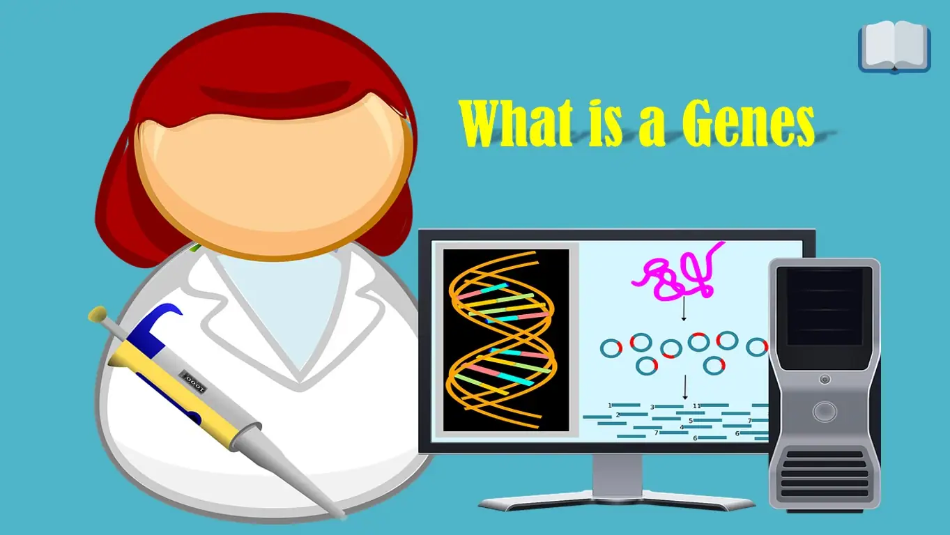 Genes क्या होते है