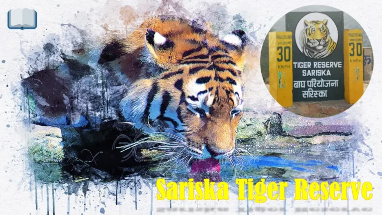 सरिस्का टाईगर रिजर्व: A Detailed Guide of Sariska Tiger Reserve