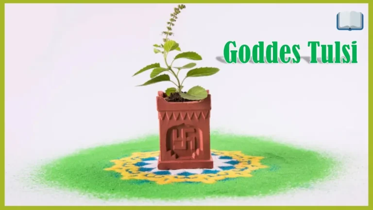 तुलसी के चमत्कारी गुण और फायदे क्या है?