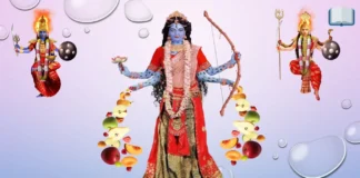 सिद्ध पीठ शाकुंभरी देवी